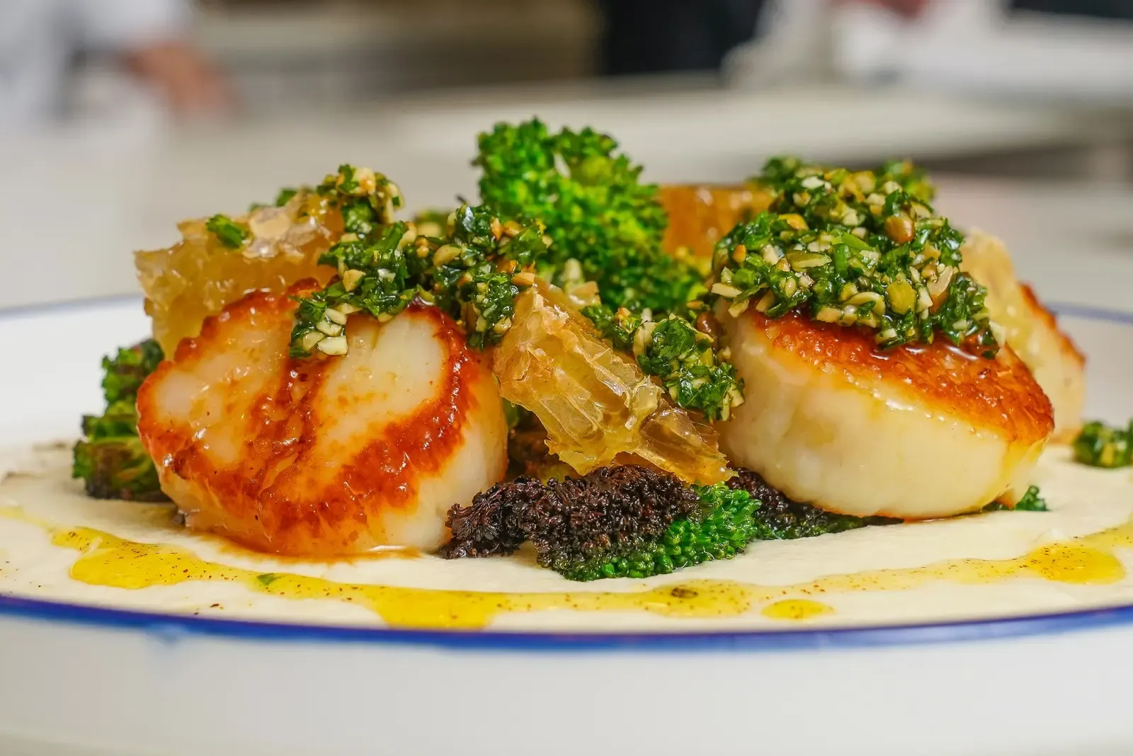 Chef Matts signature pan-seared scallops with cream sauce - private chef services in New Jersey, Pennsylvania, and South Carolina